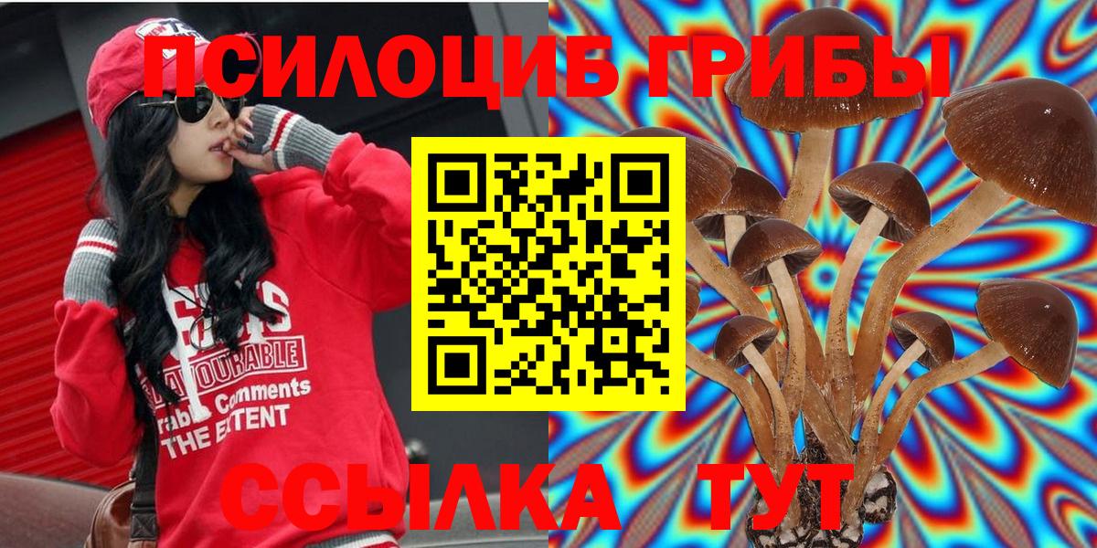 Галлюциногенные грибы Magic Shrooms Братск