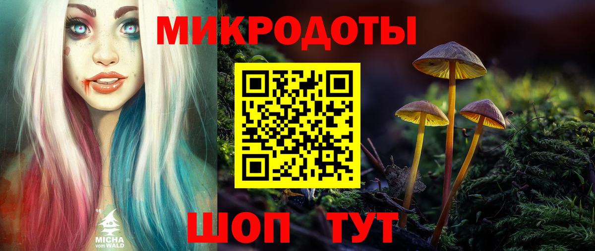 Галлюциногенные грибы Psilocybe  Вход с VPN  Псилоцибиновые грибы ЛСД  Братск 
